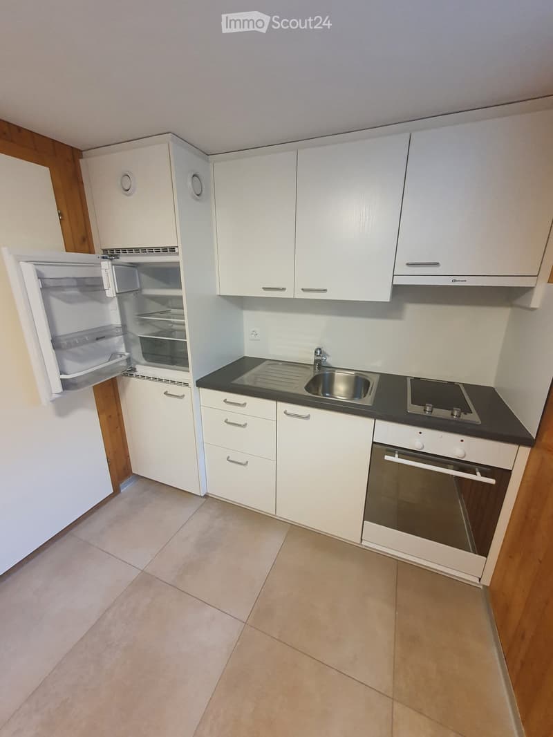 2-Zimmer Wohnung im Sockelgeschoss, zentrale Lage ab 1.11.26 (3)