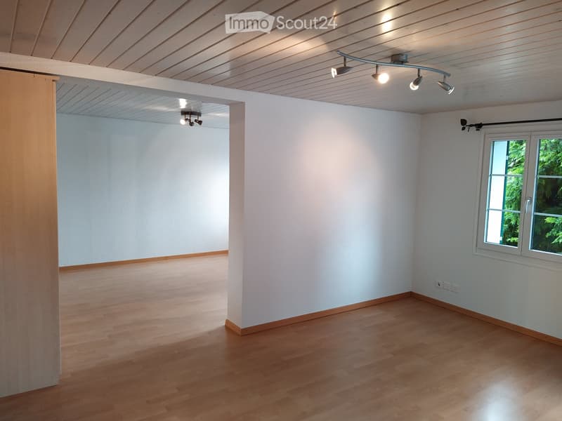 2 1/2 Zimmer-Wohnung (3)