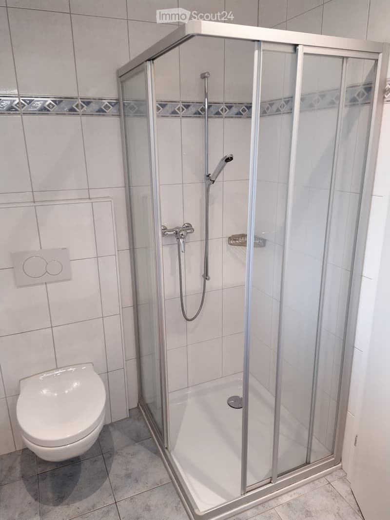 2 1/2 Zimmer-Wohnung (4)