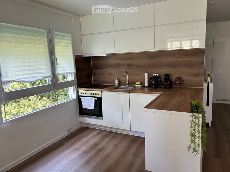 3½-Zimmerwohnung mit zusätzlichem Zimmer (3)