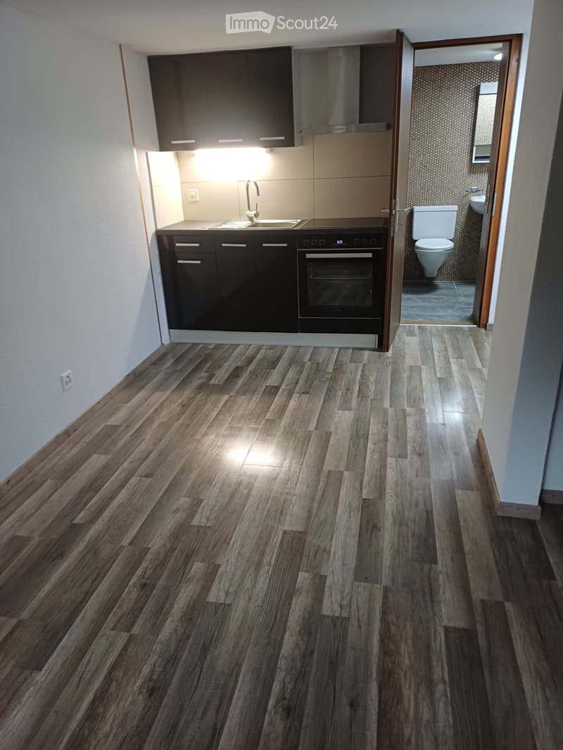 1 Zimmer Wohnung (2)