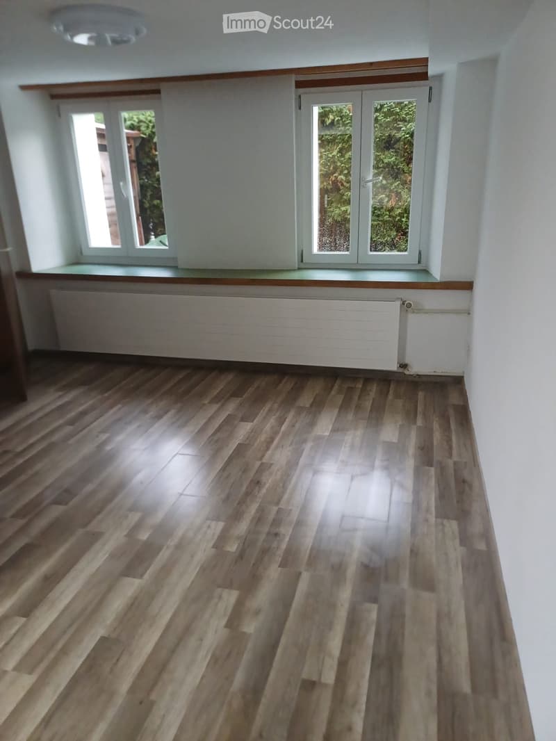 1 Zimmer Wohnung (3)