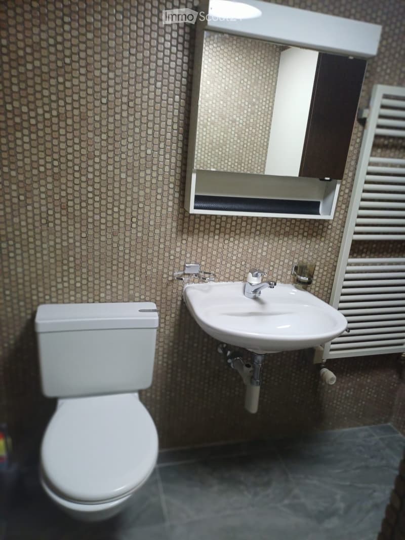 1 Zimmer Wohnung (5)