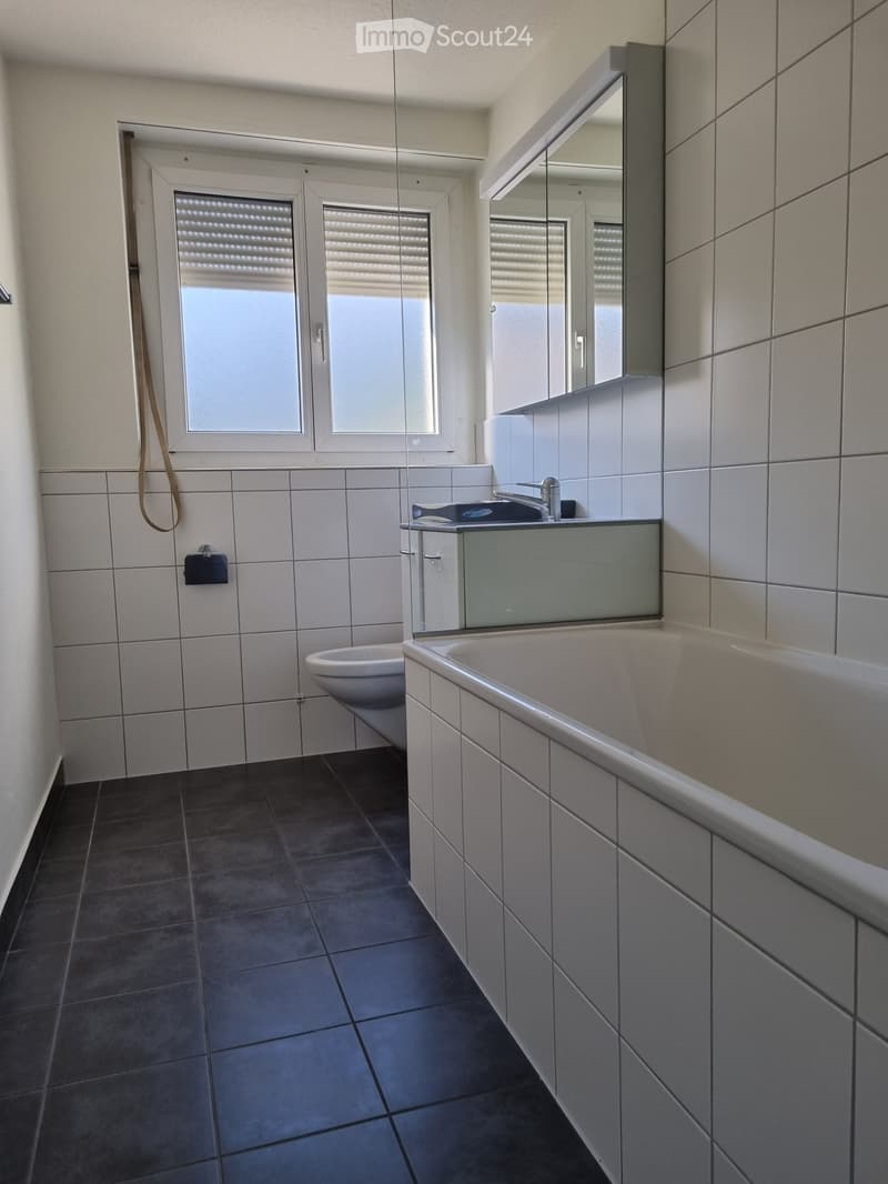 Neu renovierte 4 Zimmer Wohnung, mit Aussicht ins Grüne (3)