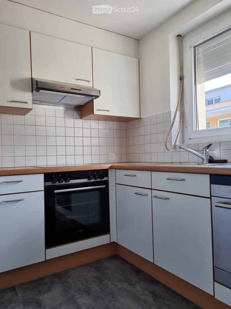 Neu renovierte 4 Zimmer Wohnung, mit Aussicht ins Grüne (5)
