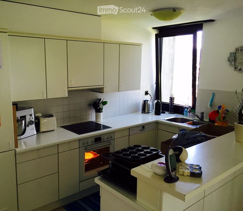 appartamento in affitto Paradiso alta (4)