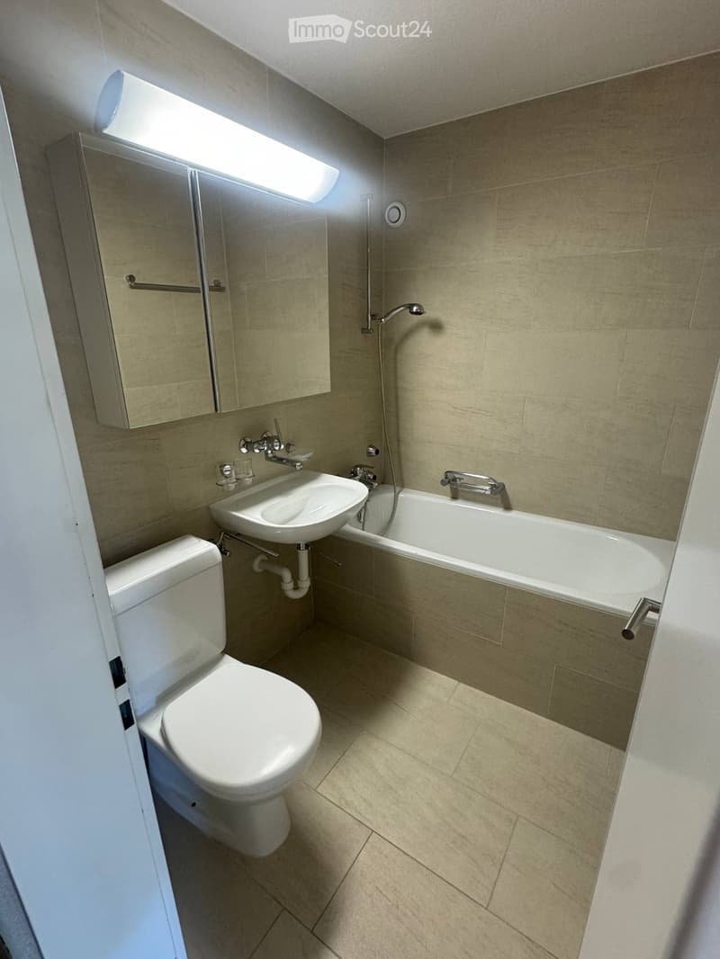 2-Room Apartment in Zurich Ideal for ETH Hönggerberg (5)