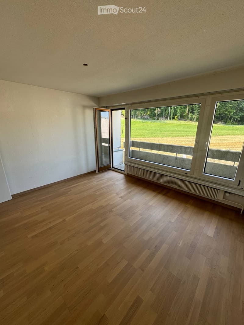 2-Room Apartment in Zurich Ideal for ETH Hönggerberg (1)