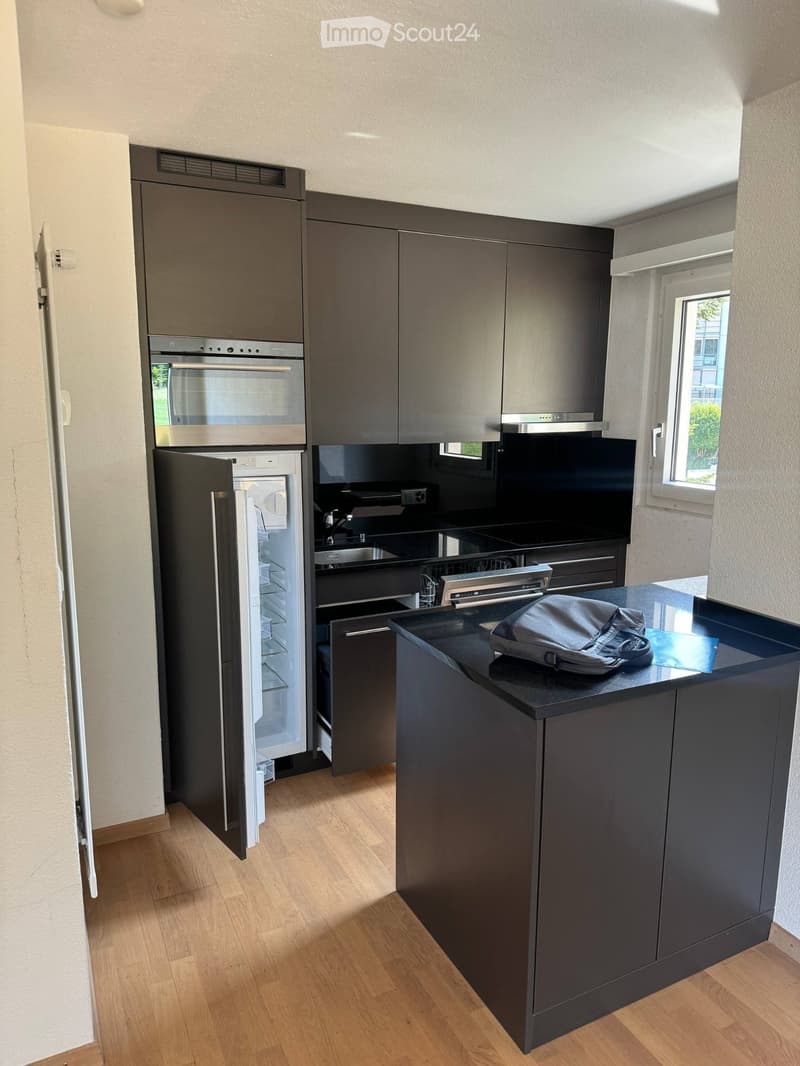 2-Room Apartment in Zurich Ideal for ETH Hönggerberg (3)