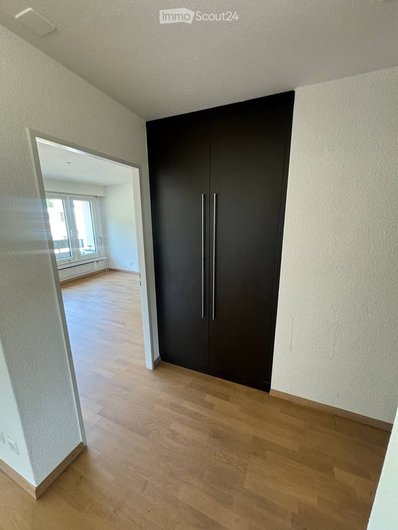 2-Room Apartment in Zurich Ideal for ETH Hönggerberg (4)