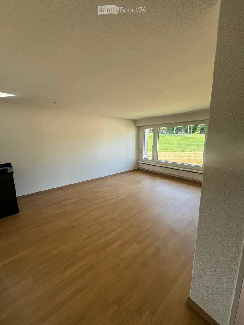 2-Room Apartment in Zurich Ideal for ETH Hönggerberg (2)