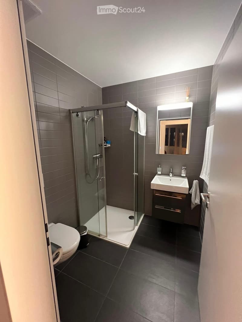 Schöne Grosse 5.5 Zimmer Wohnung (1)