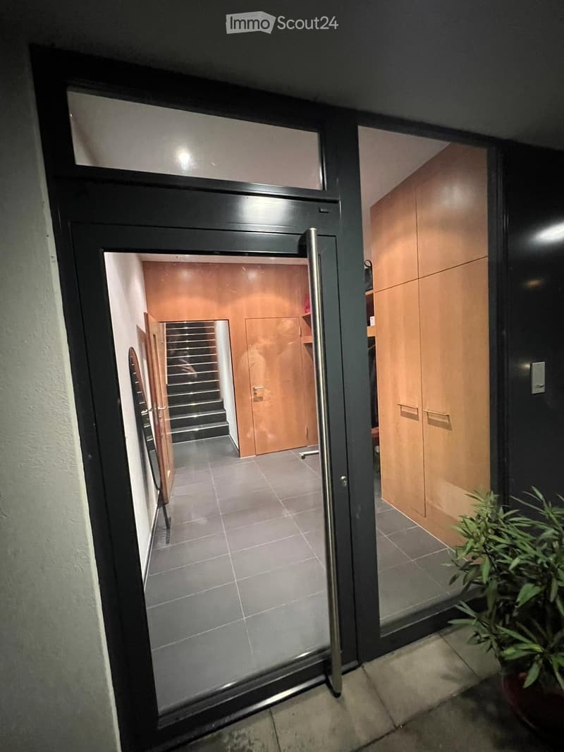 Schöne Grosse 5.5 Zimmer Wohnung (5)