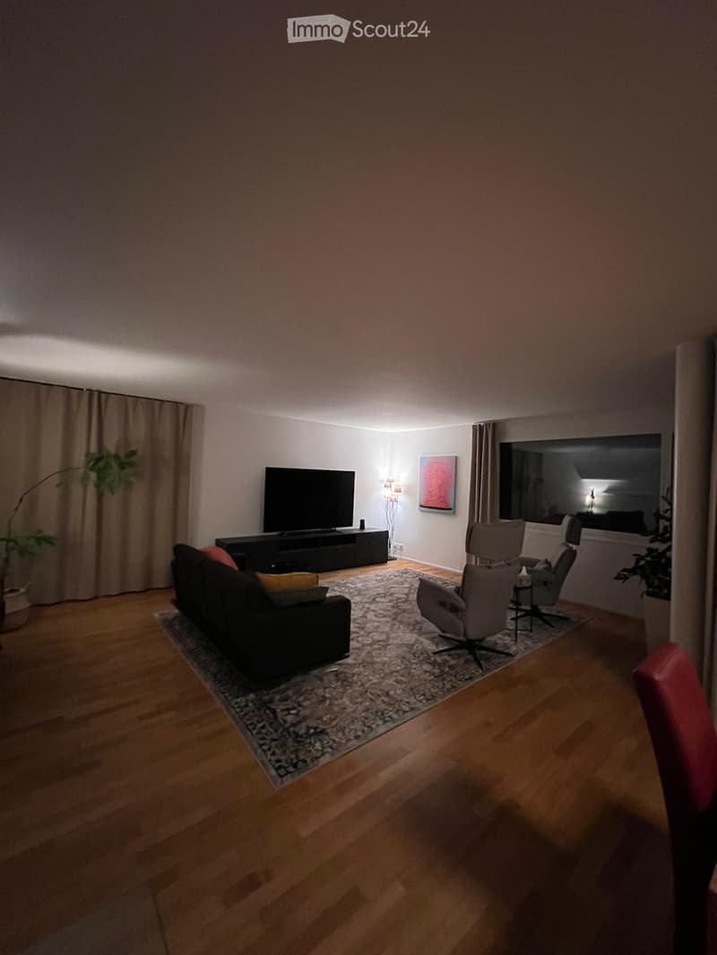 Schöne Grosse 5.5 Zimmer Wohnung (4)