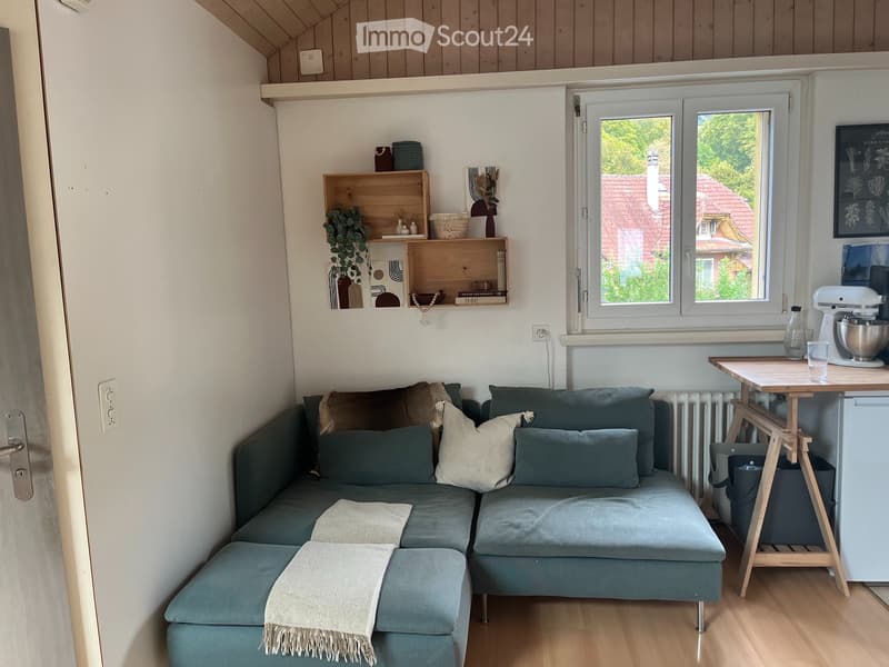 3 1/2 Zimmer-Dachwohnung (3)