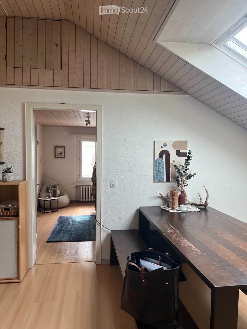 3 1/2 Zimmer-Dachwohnung (1)