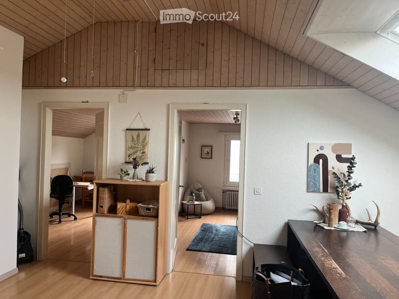 3 1/2 Zimmer-Dachwohnung (2)