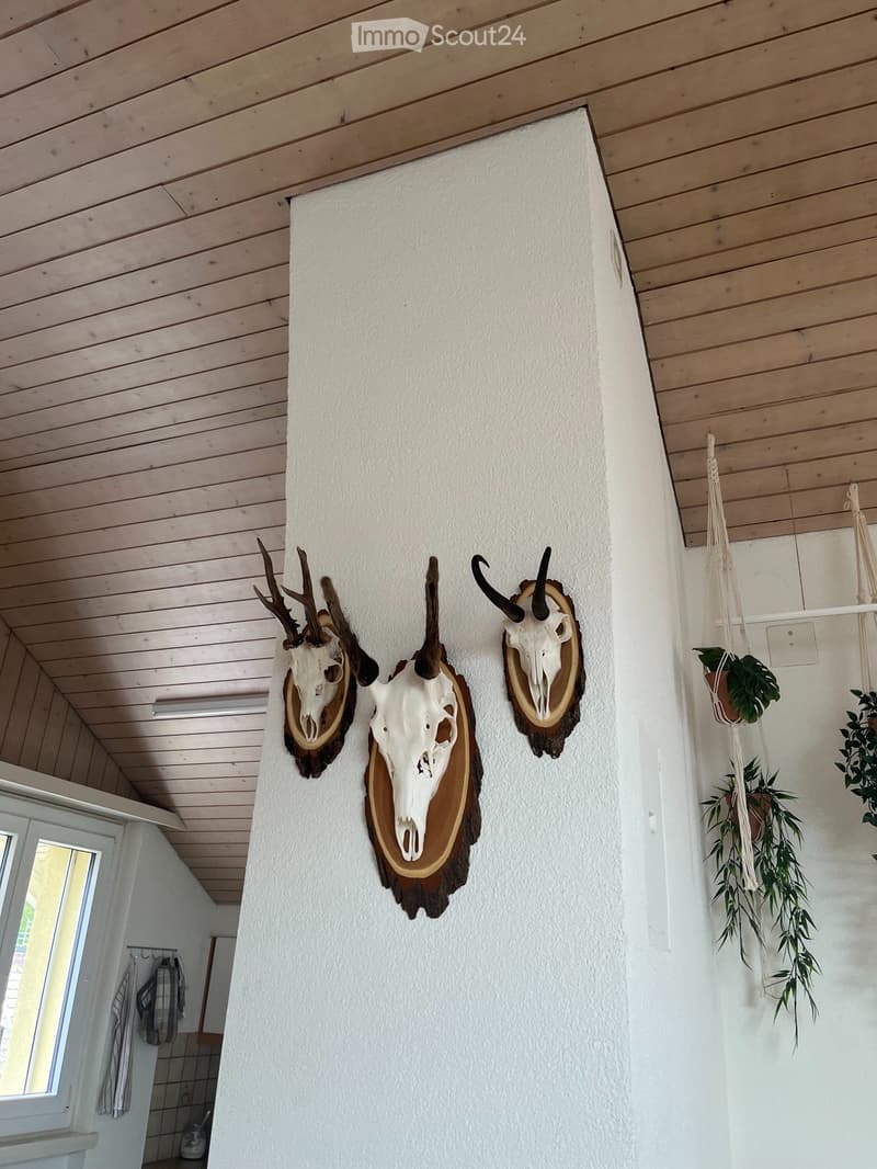 3 1/2 Zimmer-Dachwohnung (4)