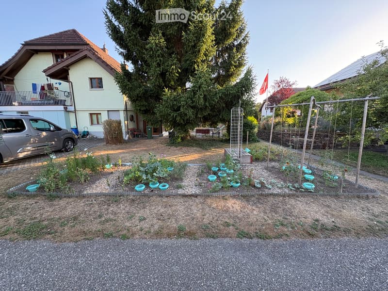 4 ½ Zimmer-Wohnung in Däniken (5)