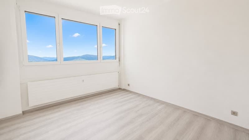4.5 locali ristrutturato in affitto a Coldrerio (6)