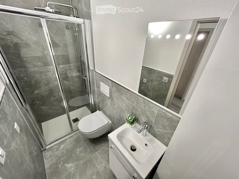 DISPONIBILE DA SETTEMBRE - 3.5 locali in affitto a Locarno (8)
