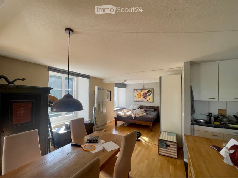 Helle Loft-Wohnung in historischer Spinnerei (2)