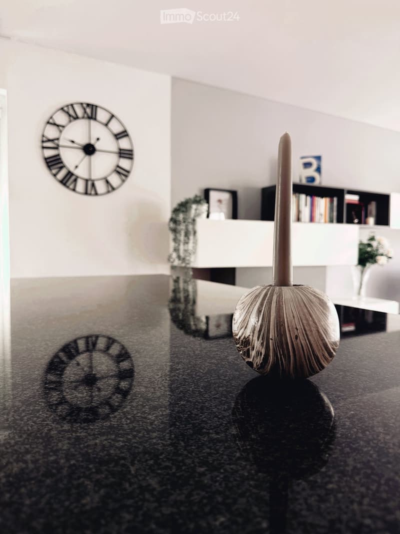 AFFITTASI DUPLEX CON ROOFTOP A ORIGLIO (2)