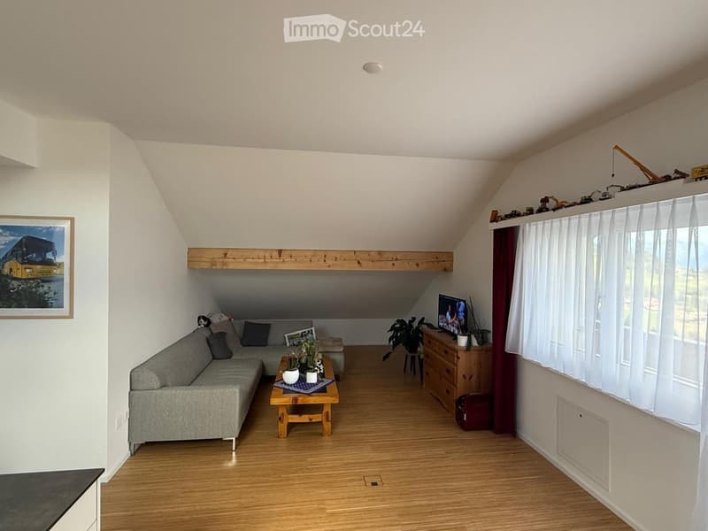 3.5 Zimmer-Dachwohnung mit wunderschöner Aussicht (3)