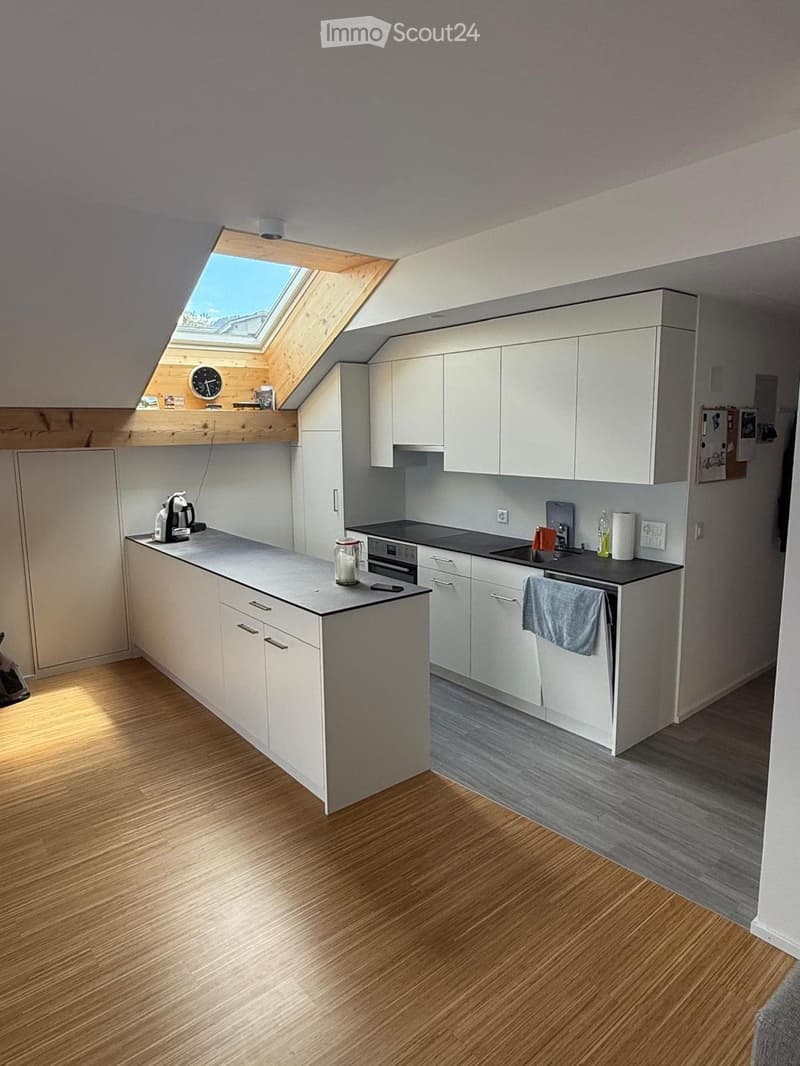 3.5 Zimmer-Dachwohnung mit wunderschöner Aussicht (2)