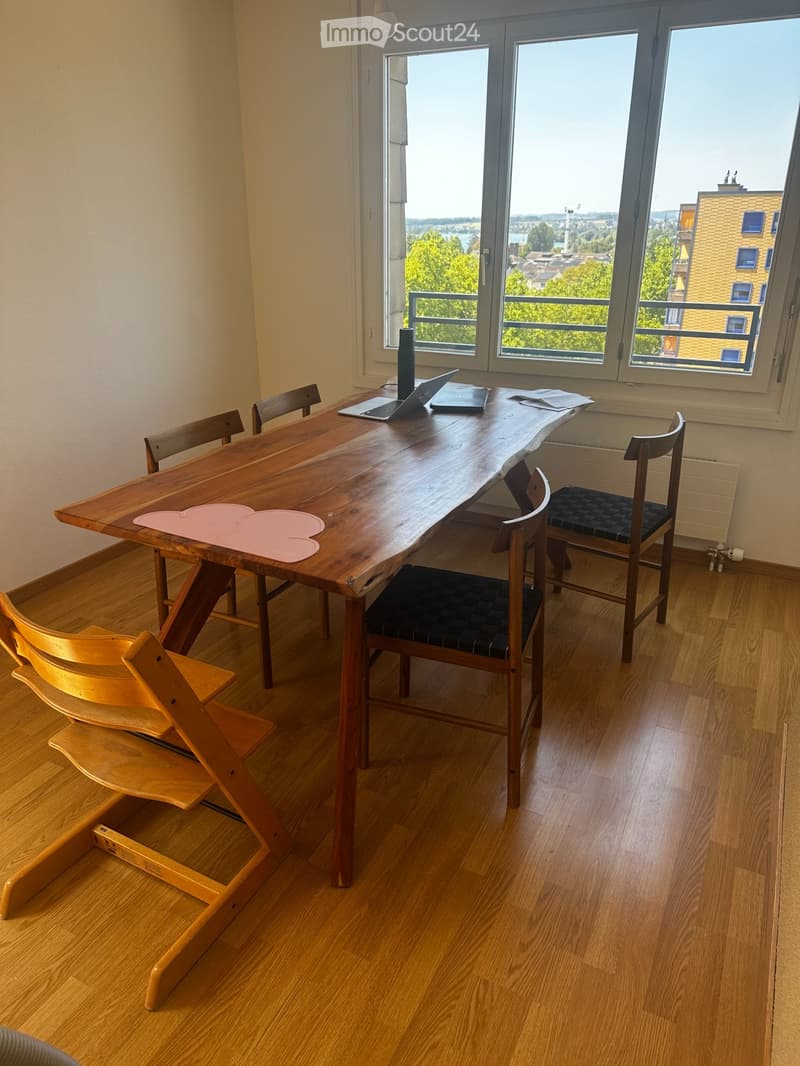 WG Zimmer: grosse zentrale ruhige Attikawohnung mit Seeblick (2)