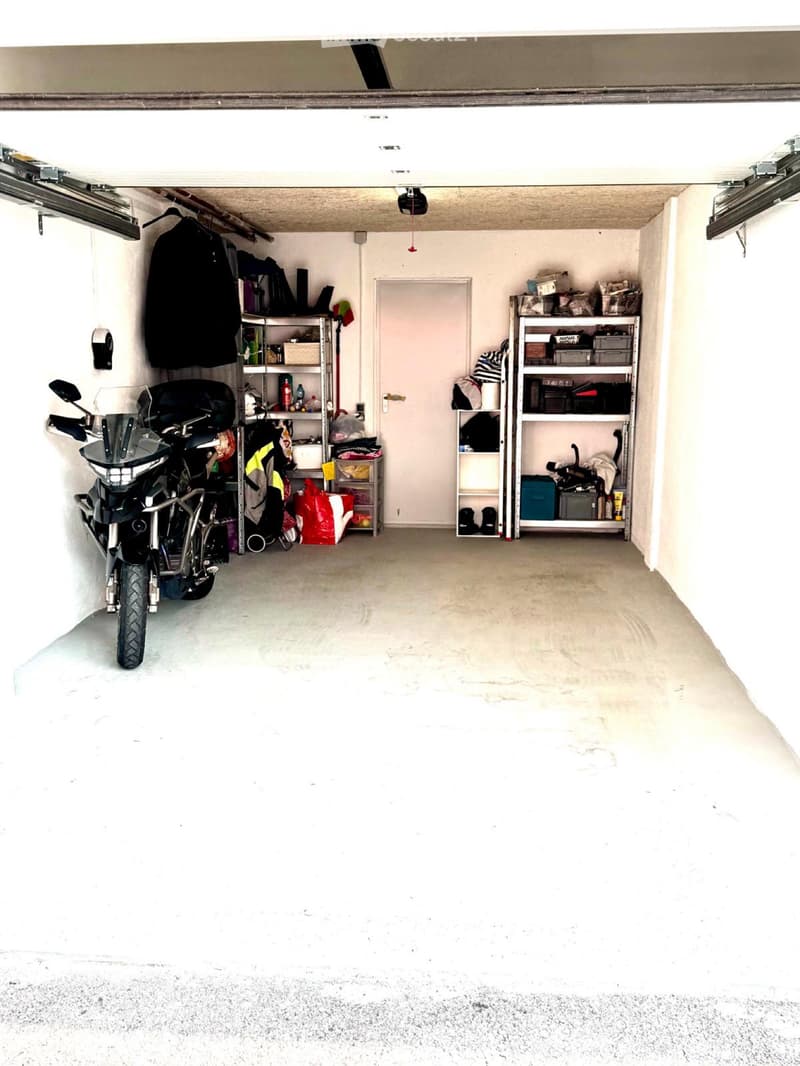 Massagno 4,5 moderno (2)