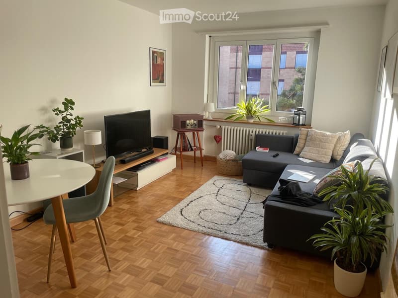 Furnished 3 room Apartment for Sublet from 1 November 2026 (1)