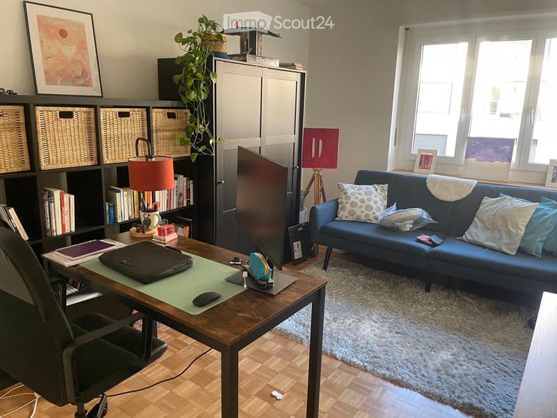 Furnished 3 room Apartment for Sublet from 1 November 2026 (3)