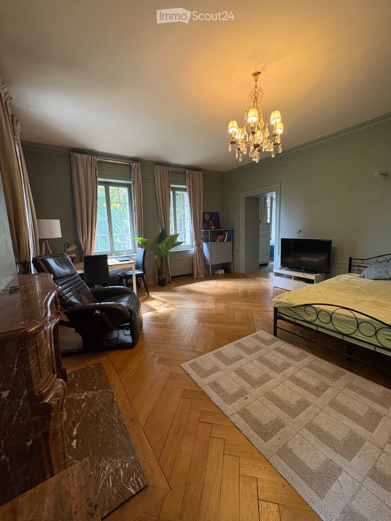 Chambre de caractère- 40 m²- sdb. privée dans un Château (5)
