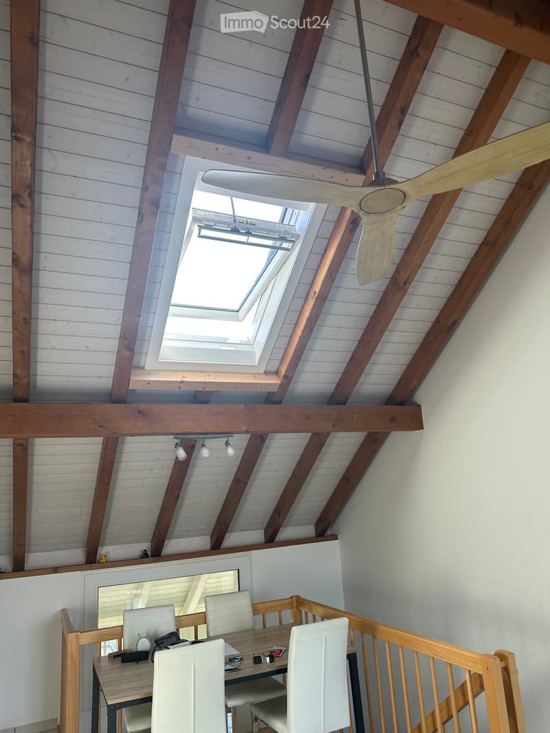 3.5 Zimmer-Maisonette-Wohnung (3)