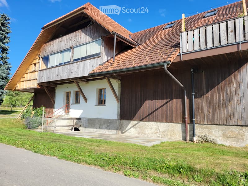 Parterre - Stöckliwohnung zu vermieten (5)
