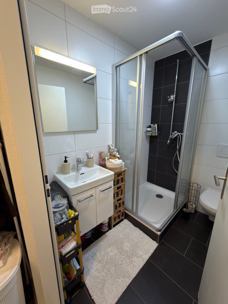 Wohnung zu vermieten & Möbel zu verkaufen (5)