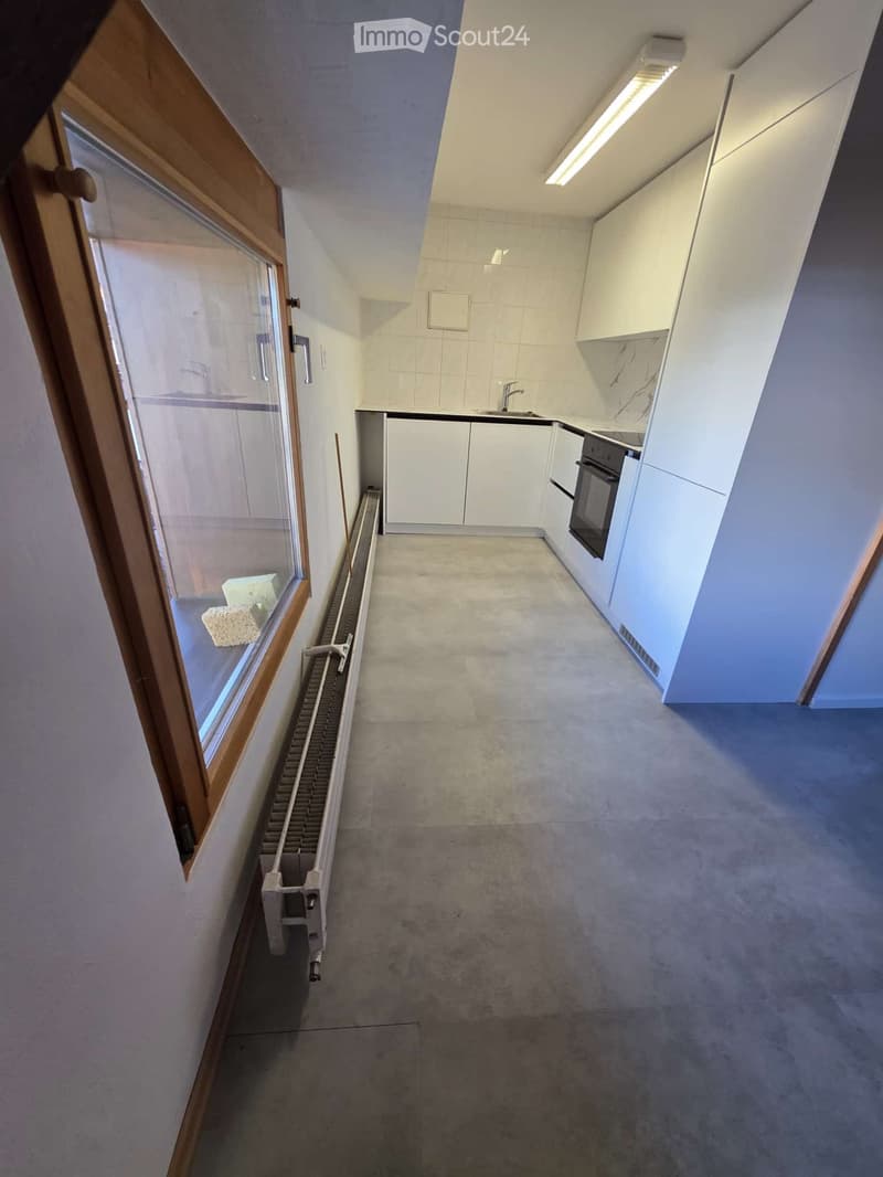 Loftwohnung oder Büro-Atelier (4)