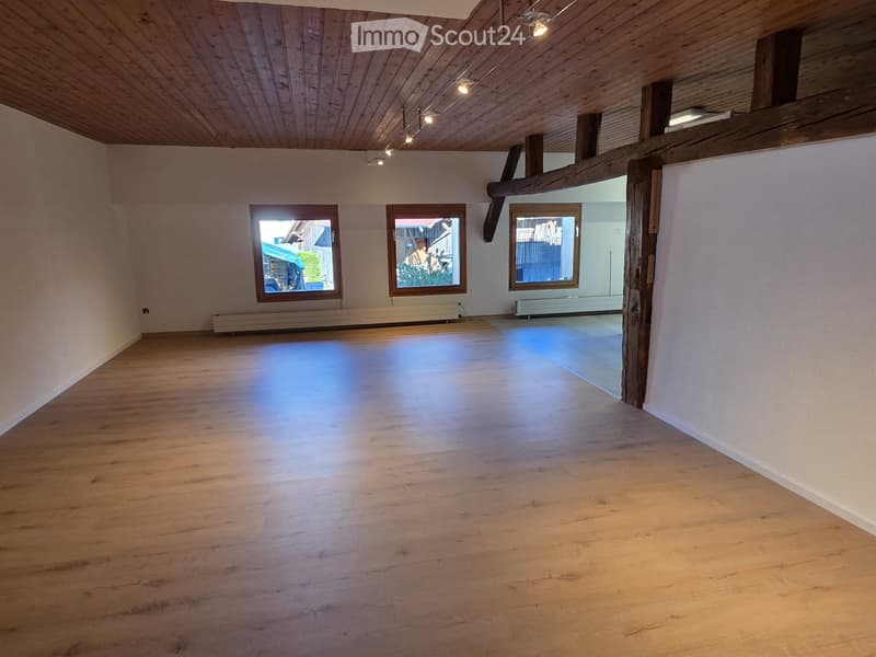 Loftwohnung oder Büro-Atelier (1)
