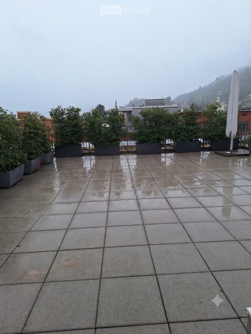 Cerchiamo subentrante per appartamento con rooftop (5)