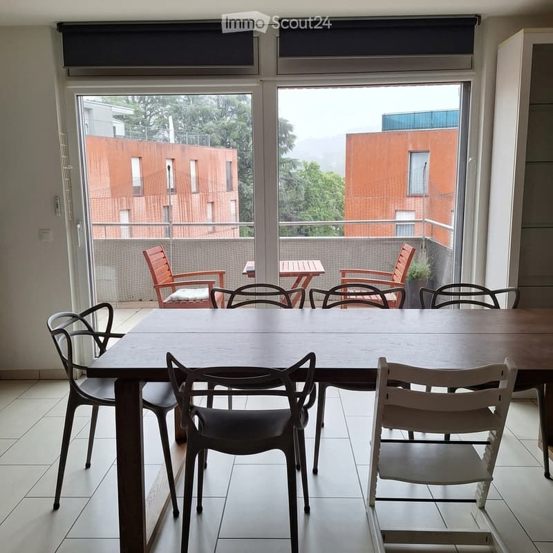 Cerchiamo subentrante per appartamento con rooftop (4)