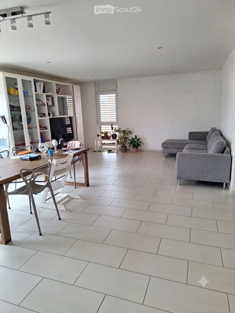 Cerchiamo subentrante per appartamento con rooftop (2)