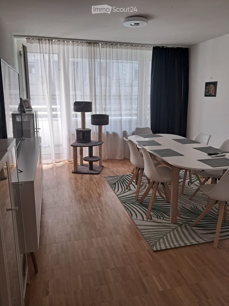 4,5 Zimmer Wohnung (2)