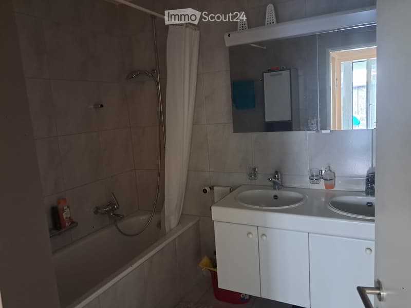 4,5 Zimmer Wohnung (4)