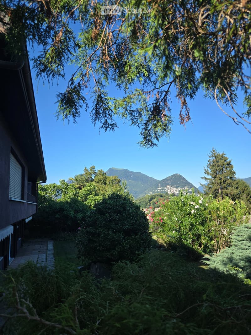 4.5 appena rinnovato, grande giardino privato, due posteggi (4)