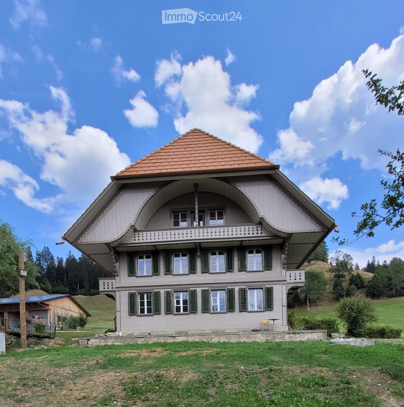 Neue Dachwohnung im Grünen 60 Min. Bern/Luzern (1)