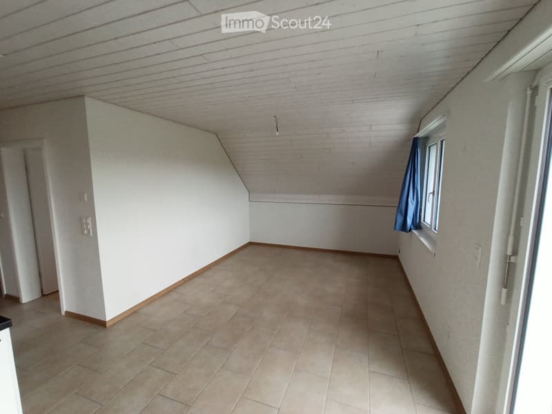 Helle 3.5-Zimmer-Whg. mit grosser Sonnenterrasse im Grünen (3)