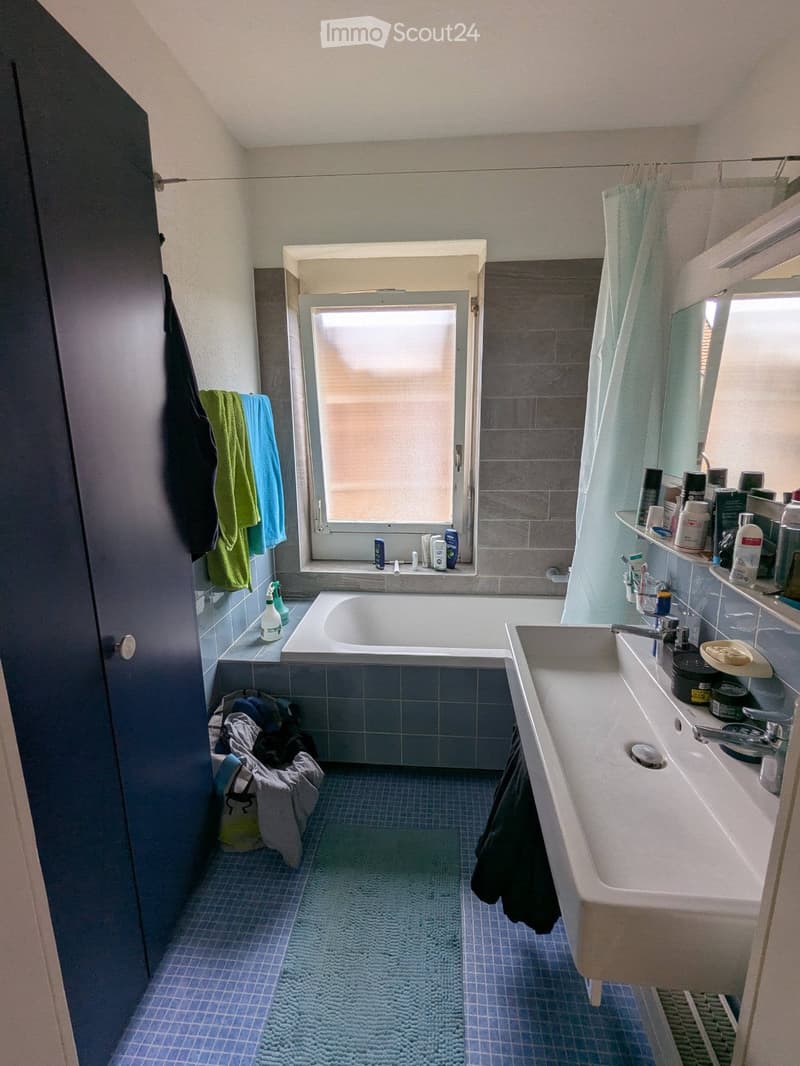2-room apartment with living room and balcony in Winterthur (2)