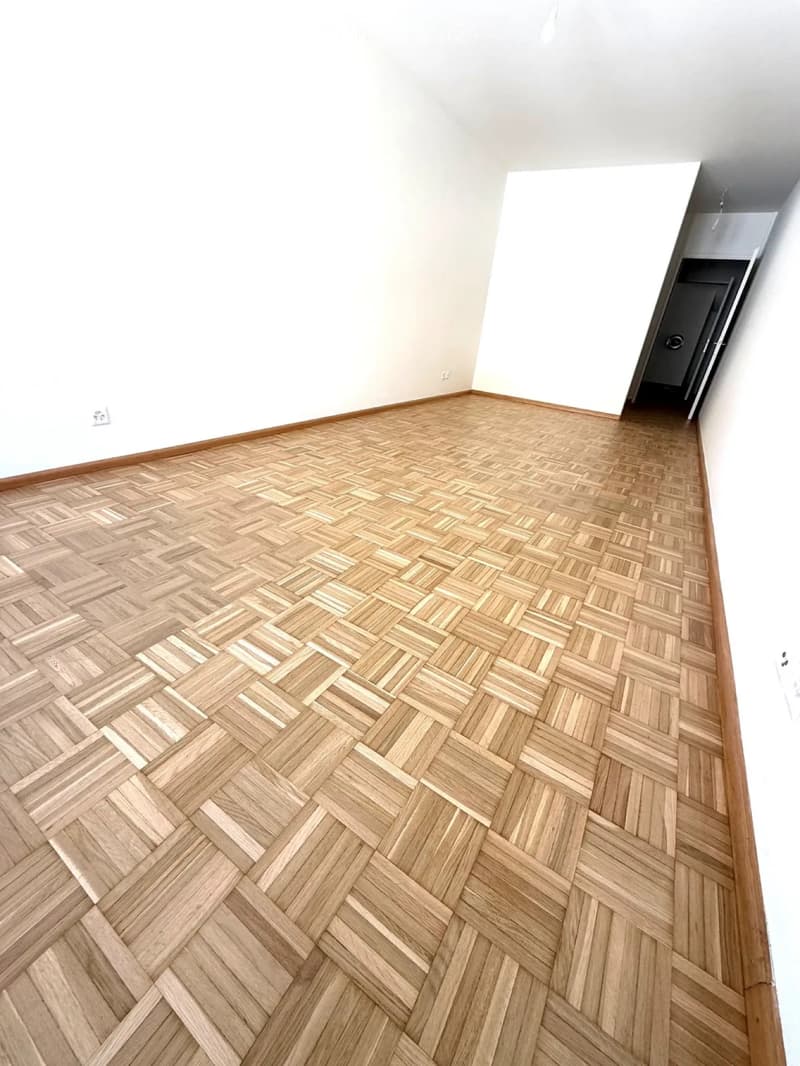 1-Zimmer-Wohnung in Kleinbasel (Nähe Rhein) (1)
