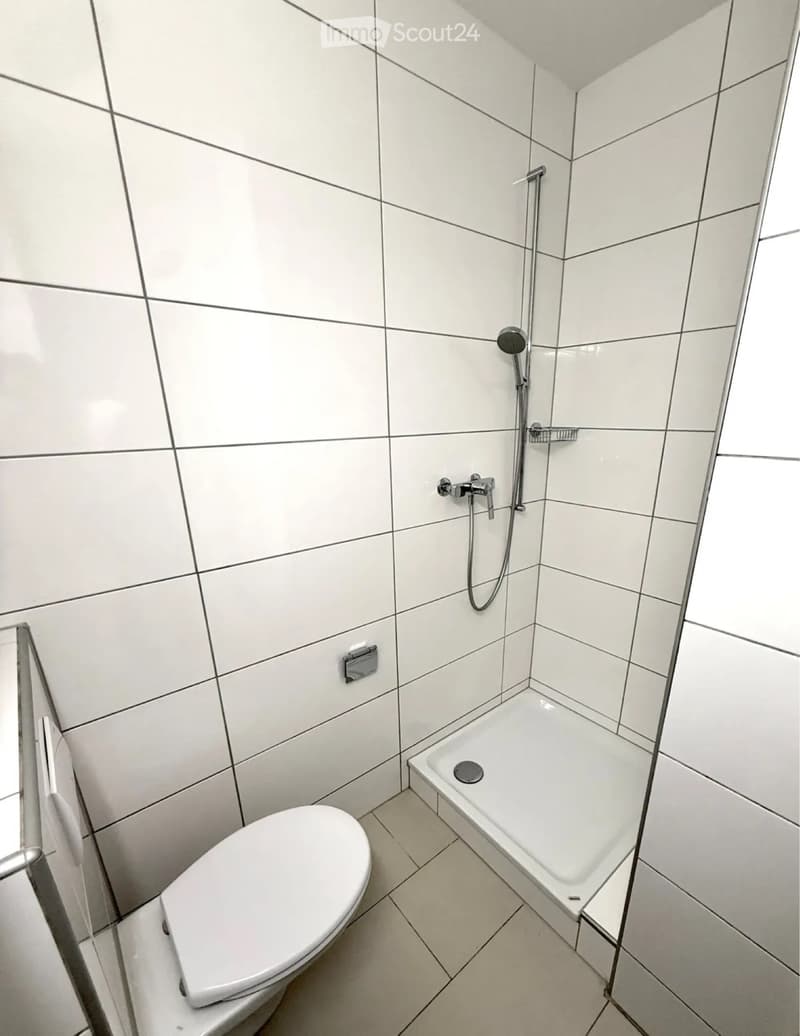 1-Zimmer-Wohnung in Kleinbasel (Nähe Rhein) (3)